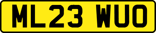 ML23WUO