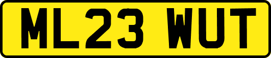 ML23WUT