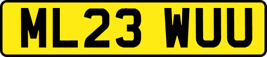 ML23WUU