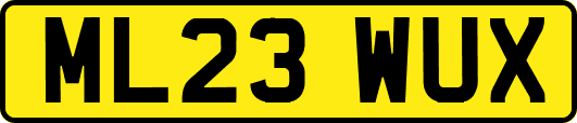 ML23WUX