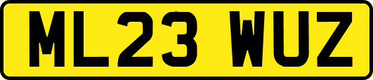 ML23WUZ