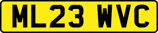 ML23WVC