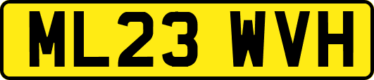 ML23WVH