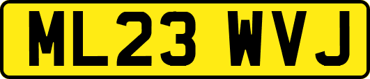 ML23WVJ
