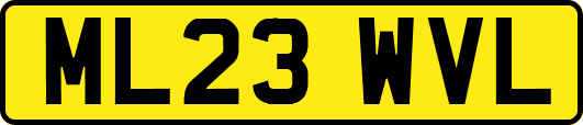ML23WVL