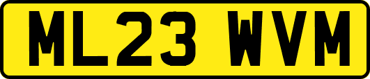 ML23WVM