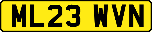 ML23WVN