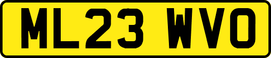 ML23WVO