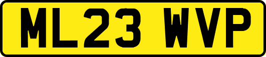 ML23WVP
