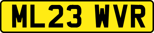 ML23WVR