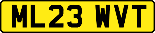 ML23WVT
