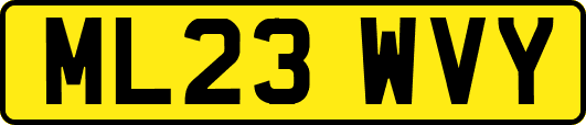 ML23WVY