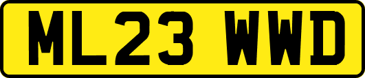 ML23WWD
