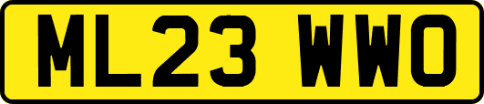 ML23WWO
