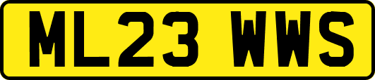ML23WWS