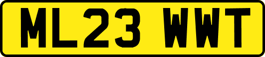 ML23WWT