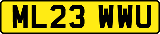ML23WWU