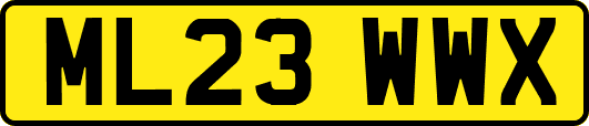 ML23WWX