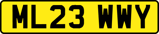 ML23WWY