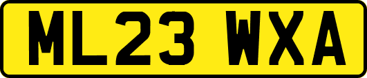 ML23WXA