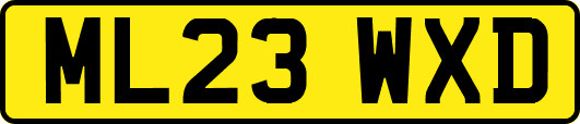 ML23WXD