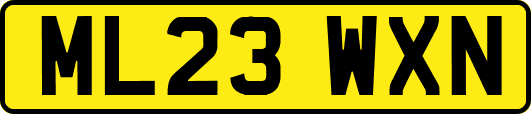 ML23WXN