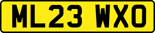 ML23WXO