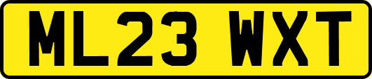 ML23WXT