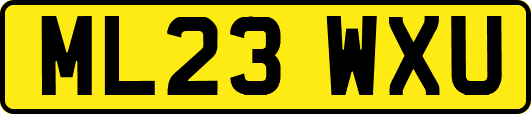 ML23WXU