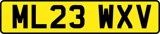 ML23WXV