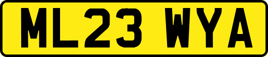 ML23WYA