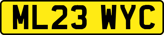 ML23WYC