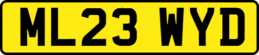 ML23WYD