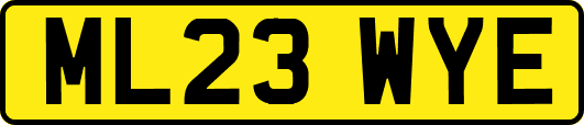 ML23WYE