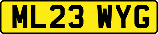 ML23WYG