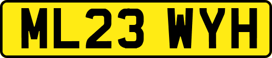 ML23WYH