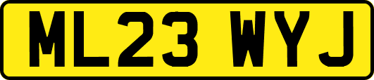 ML23WYJ
