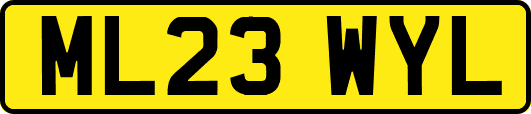 ML23WYL
