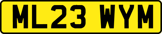 ML23WYM