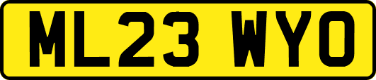 ML23WYO