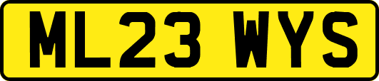 ML23WYS