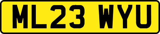 ML23WYU