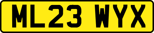 ML23WYX