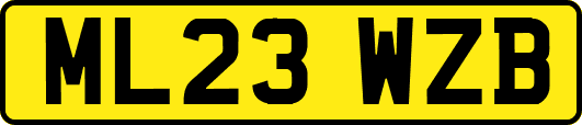 ML23WZB