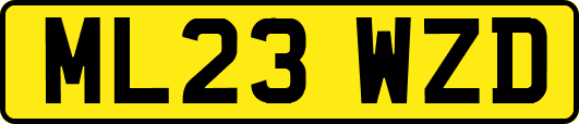 ML23WZD