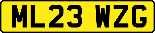 ML23WZG
