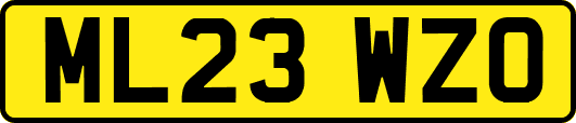 ML23WZO