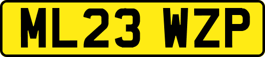 ML23WZP