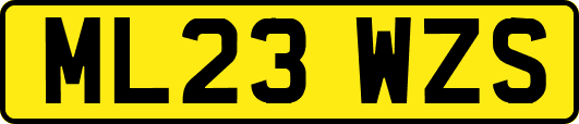 ML23WZS