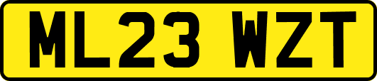 ML23WZT